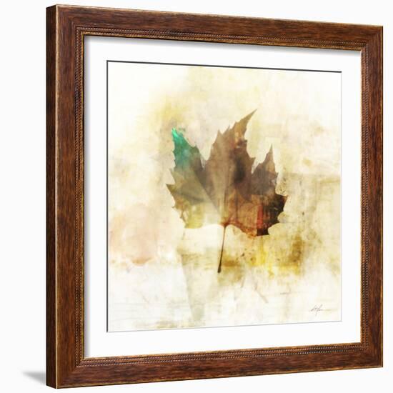 Falling Maple Leaf 1-Ken Roko-Framed Art Print