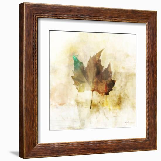 Falling Maple Leaf 1-Ken Roko-Framed Art Print