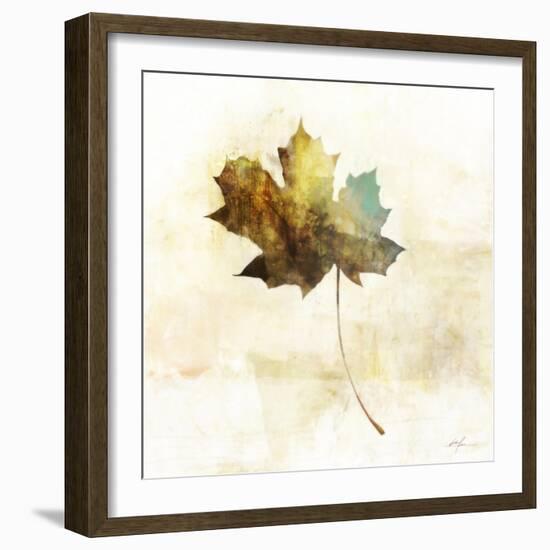 Falling Maple Leaf 2-Ken Roko-Framed Art Print