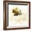 Falling Maple Leaf 2-Ken Roko-Framed Art Print