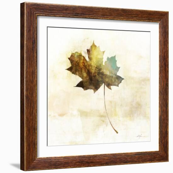 Falling Maple Leaf 2-Ken Roko-Framed Art Print