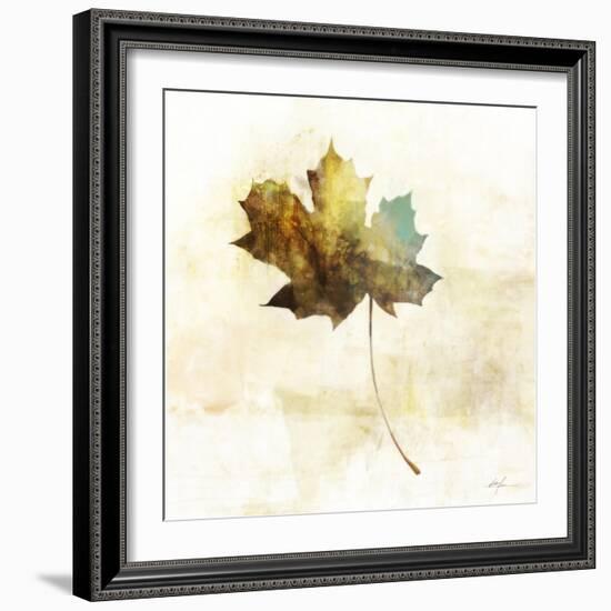 Falling Maple Leaf 2-Ken Roko-Framed Art Print