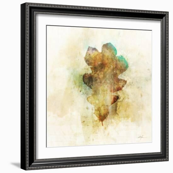 Falling Oak Leaf-Ken Roko-Framed Art Print