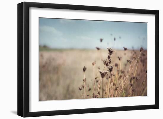 Falling Queen Annes Lace I Crop-Elizabeth Urquhart-Framed Photo