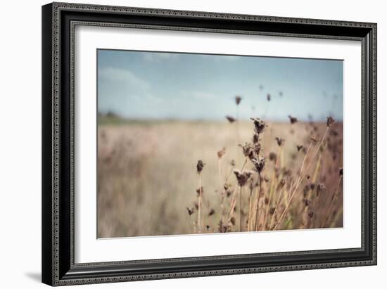 Falling Queen Annes Lace I Crop-Elizabeth Urquhart-Framed Photo