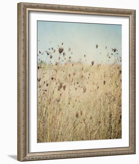 Falling Queen Annes Lace II Crop-Elizabeth Urquhart-Framed Photo