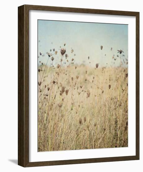 Falling Queen Annes Lace II Crop-Elizabeth Urquhart-Framed Photo