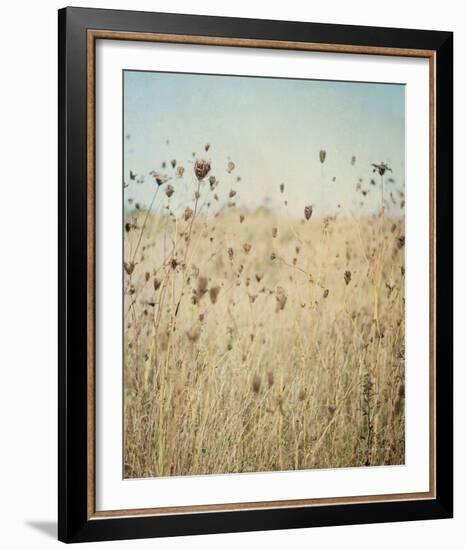 Falling Queen Annes Lace II Crop-Elizabeth Urquhart-Framed Photo