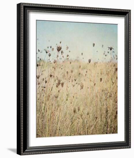 Falling Queen Annes Lace II Crop-Elizabeth Urquhart-Framed Photo