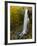Falling Spring Falls, Outside of Covington, Virginia, Usa-Maresa Pryor-Framed Photographic Print