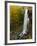 Falling Spring Falls, Outside of Covington, Virginia, Usa-Maresa Pryor-Framed Photographic Print