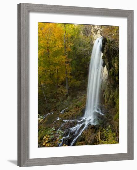 Falling Spring Falls, Outside of Covington, Virginia, Usa-Maresa Pryor-Framed Photographic Print