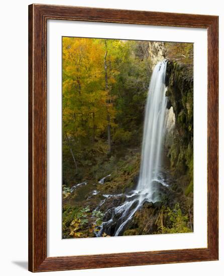 Falling Spring Falls, Outside of Covington, Virginia, Usa-Maresa Pryor-Framed Photographic Print