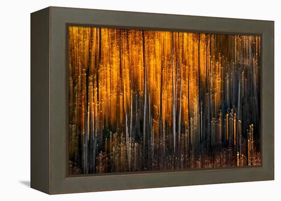 Falling Stars-Ursula Abresch-Framed Premier Image Canvas