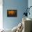 Falling Stars-Ursula Abresch-Framed Premier Image Canvas displayed on a wall