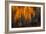 Falling Stars-Ursula Abresch-Framed Photographic Print