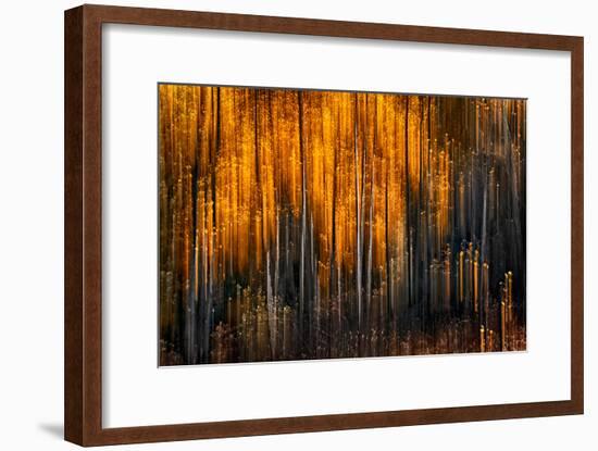 Falling Stars-Ursula Abresch-Framed Photographic Print