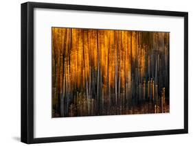 Falling Stars-Ursula Abresch-Framed Photographic Print