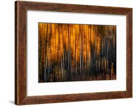 Falling Stars-Ursula Abresch-Framed Photographic Print