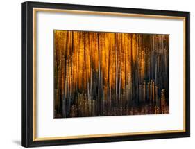 Falling Stars-Ursula Abresch-Framed Photographic Print