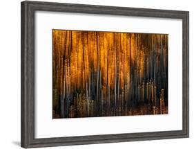 Falling Stars-Ursula Abresch-Framed Photographic Print
