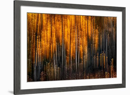 Falling Stars-Ursula Abresch-Framed Photographic Print