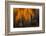 Falling Stars-Ursula Abresch-Framed Premium Photographic Print