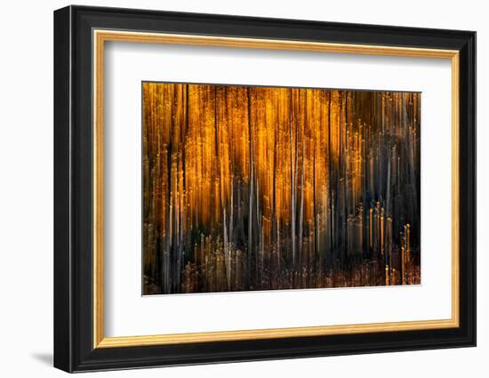 Falling Stars-Ursula Abresch-Framed Photographic Print