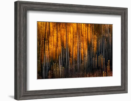 Falling Stars-Ursula Abresch-Framed Photographic Print