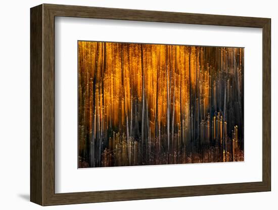 Falling Stars-Ursula Abresch-Framed Photographic Print