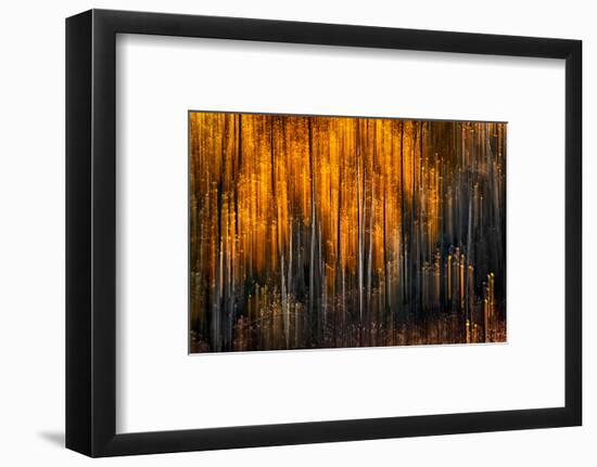 Falling Stars-Ursula Abresch-Framed Photographic Print