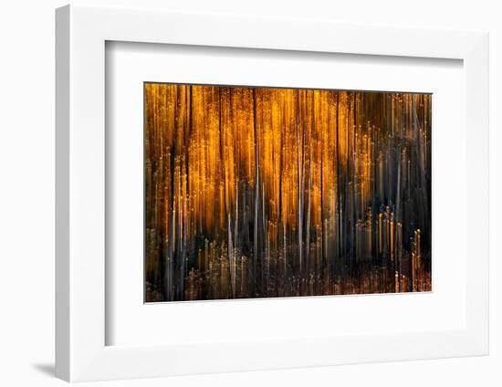 Falling Stars-Ursula Abresch-Framed Photographic Print