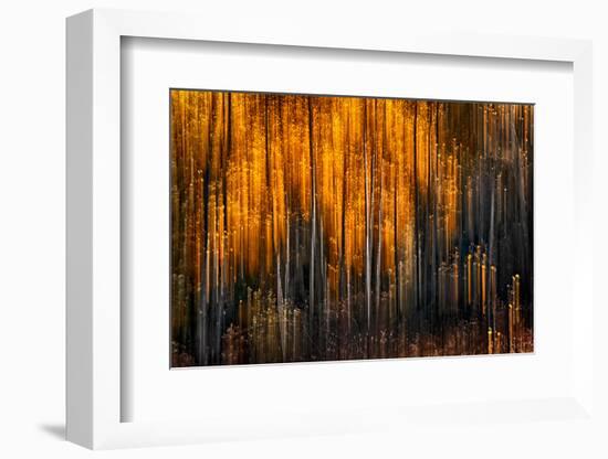 Falling Stars-Ursula Abresch-Framed Photographic Print