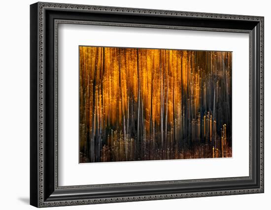 Falling Stars-Ursula Abresch-Framed Photographic Print