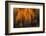 Falling Stars-Ursula Abresch-Framed Photographic Print