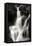 Falling Water II BW-Douglas Taylor-Framed Premier Image Canvas