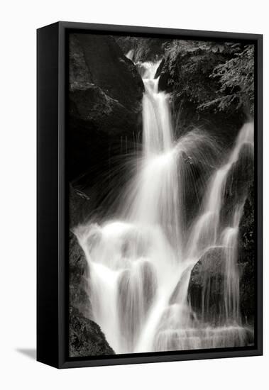 Falling Water II BW-Douglas Taylor-Framed Premier Image Canvas