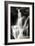 Falling Water II BW-Douglas Taylor-Framed Photographic Print