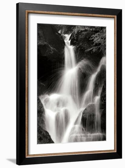 Falling Water II BW-Douglas Taylor-Framed Photographic Print