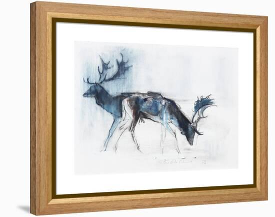 Fallow Bucks, Richmond, 2006-Mark Adlington-Framed Premier Image Canvas