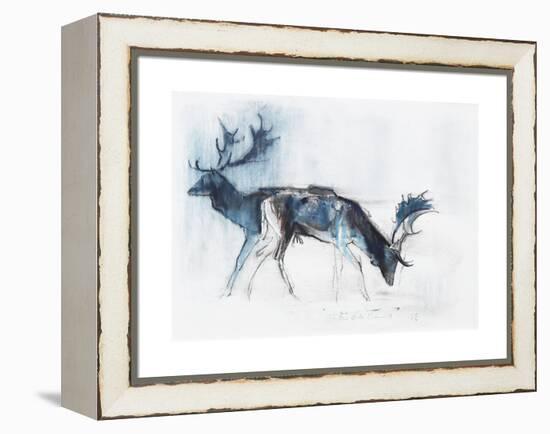 Fallow Bucks, Richmond, 2006-Mark Adlington-Framed Premier Image Canvas