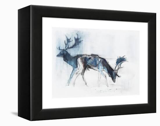 Fallow Bucks, Richmond, 2006-Mark Adlington-Framed Premier Image Canvas