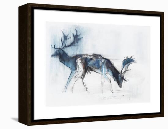 Fallow Bucks, Richmond, 2006-Mark Adlington-Framed Premier Image Canvas