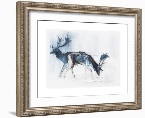 Fallow Bucks, Richmond, 2006-Mark Adlington-Framed Giclee Print