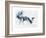 Fallow Bucks, Richmond, 2006-Mark Adlington-Framed Giclee Print