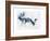 Fallow Bucks, Richmond, 2006-Mark Adlington-Framed Giclee Print