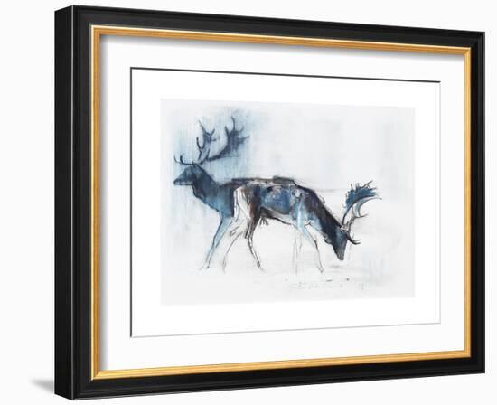 Fallow Bucks, Richmond, 2006-Mark Adlington-Framed Giclee Print