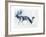 Fallow Bucks, Richmond, 2006-Mark Adlington-Framed Giclee Print