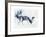 Fallow Bucks, Richmond, 2006-Mark Adlington-Framed Giclee Print