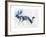 Fallow Bucks, Richmond, 2006-Mark Adlington-Framed Giclee Print